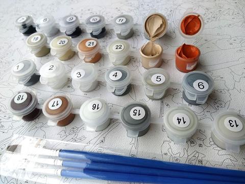 paint numbers kit